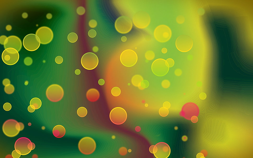 Bokeh photography HD wallpaper